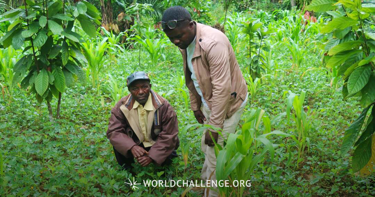 Surviving COVID19 in the D.R. Congo